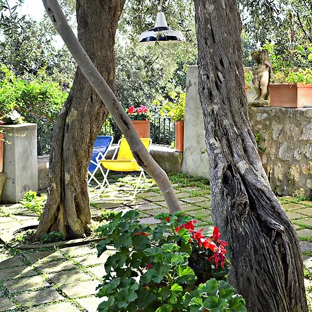 Deli, In Positano, Sea View, Ac